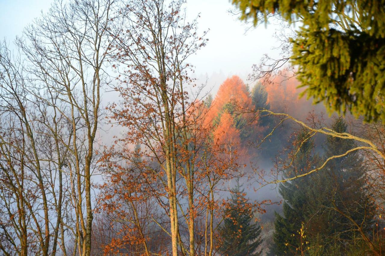 Gluehwuermchenhuette Villa Ratten Exteriör bild